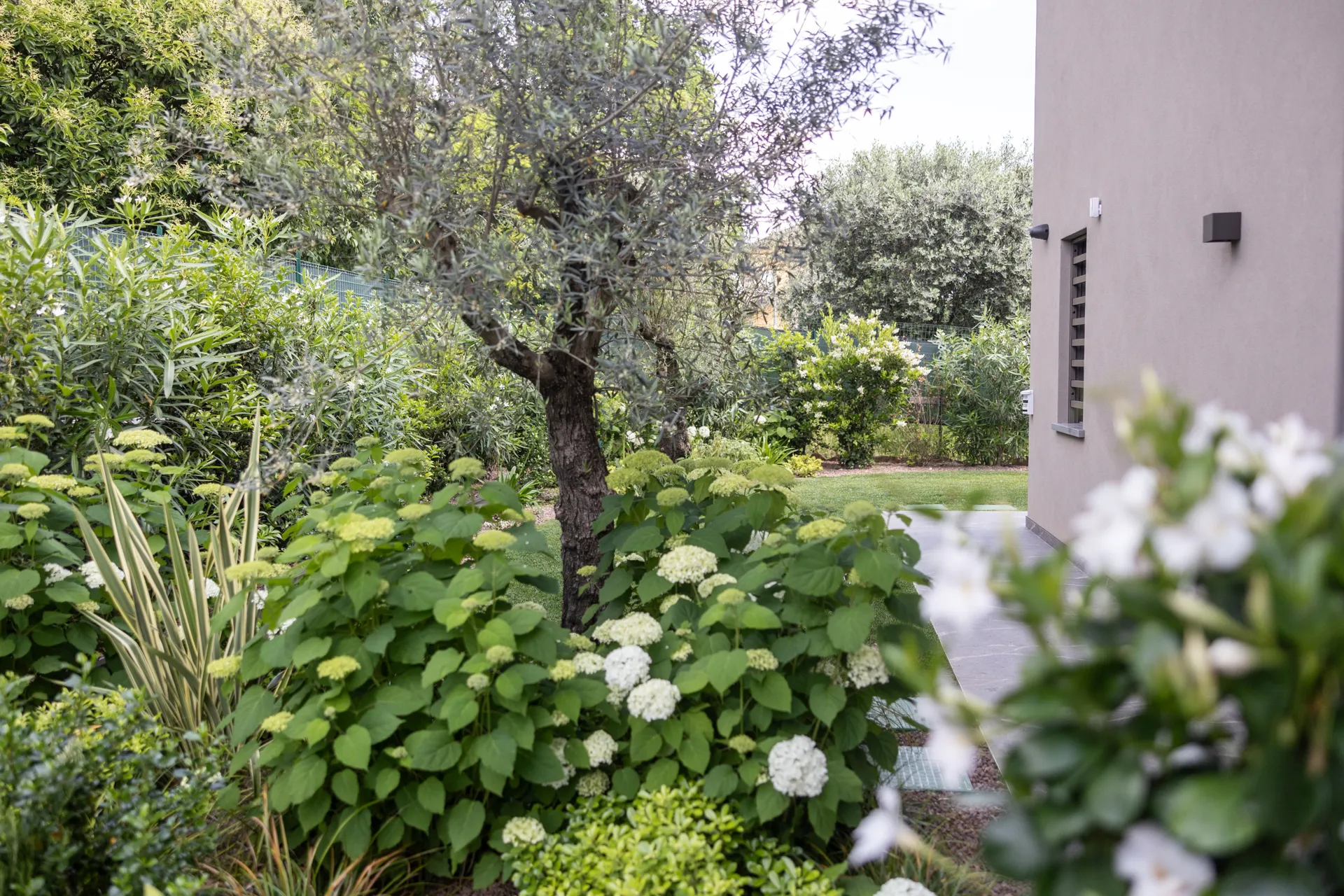 villa con giardino design moderno 05